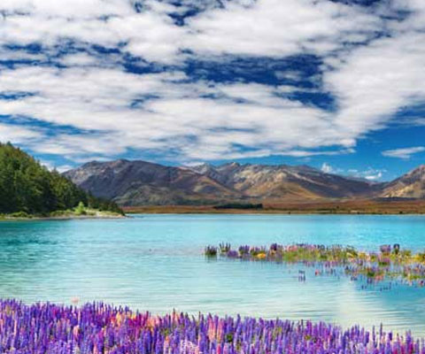New Zealand